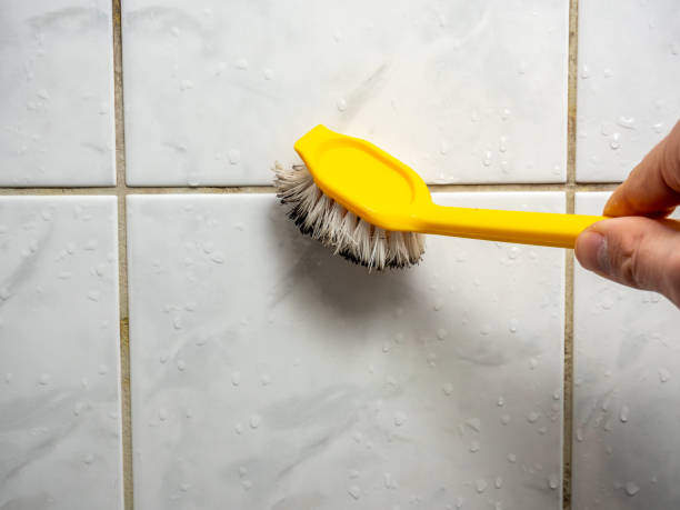 Trusted Crystal Lakes, OH Mold Remediation Experts