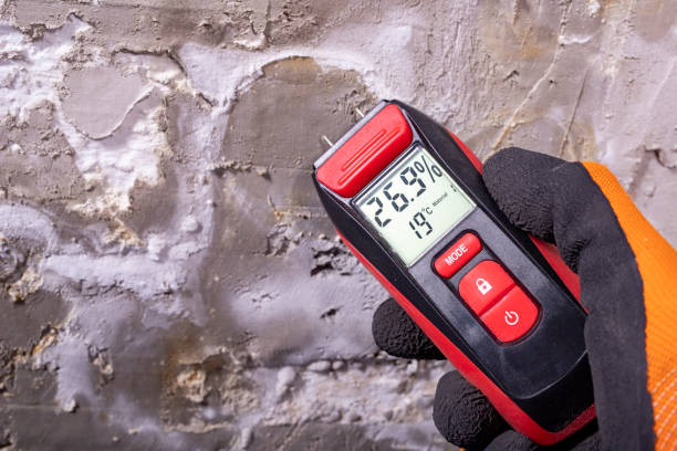 Best White Mold Remediation in Crystal Lakes, OH
